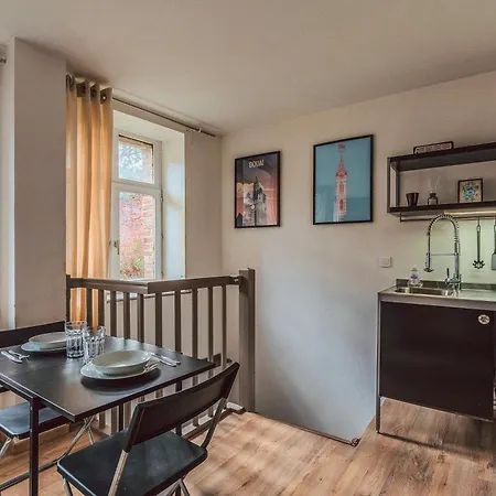 Daire Duplex En Cave Voutee Au Coeur De Douai